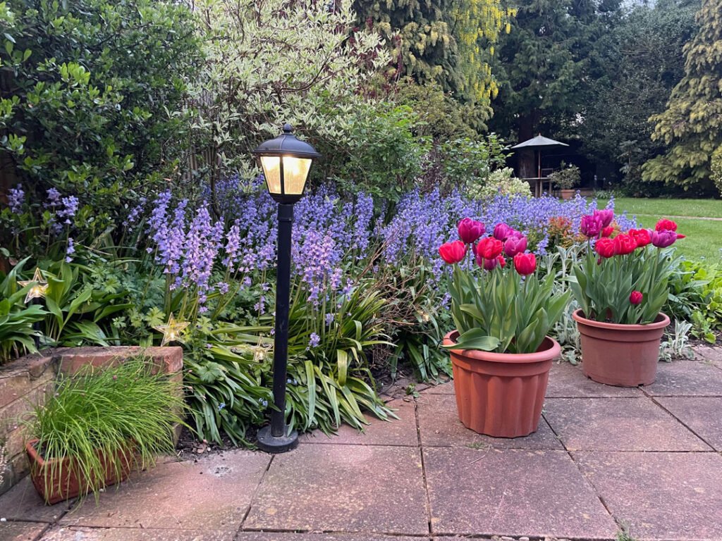 Garden with potted plants on the patio.