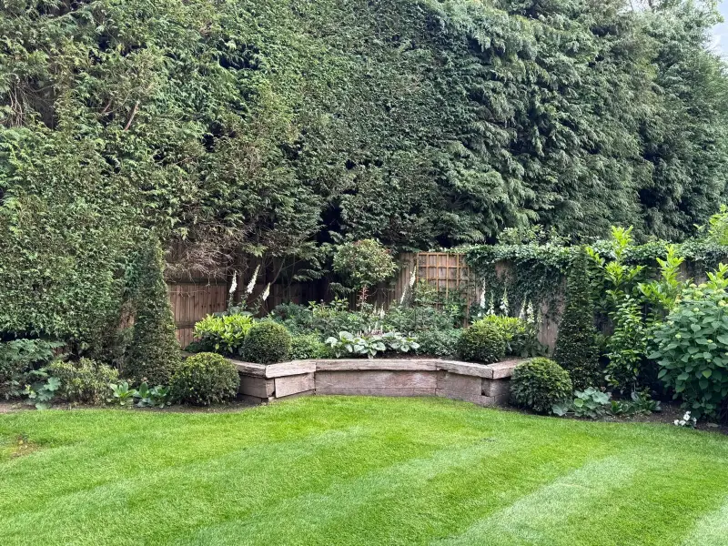 hero-raised-corner-bed Shady raised bed in Cobham Surrey.