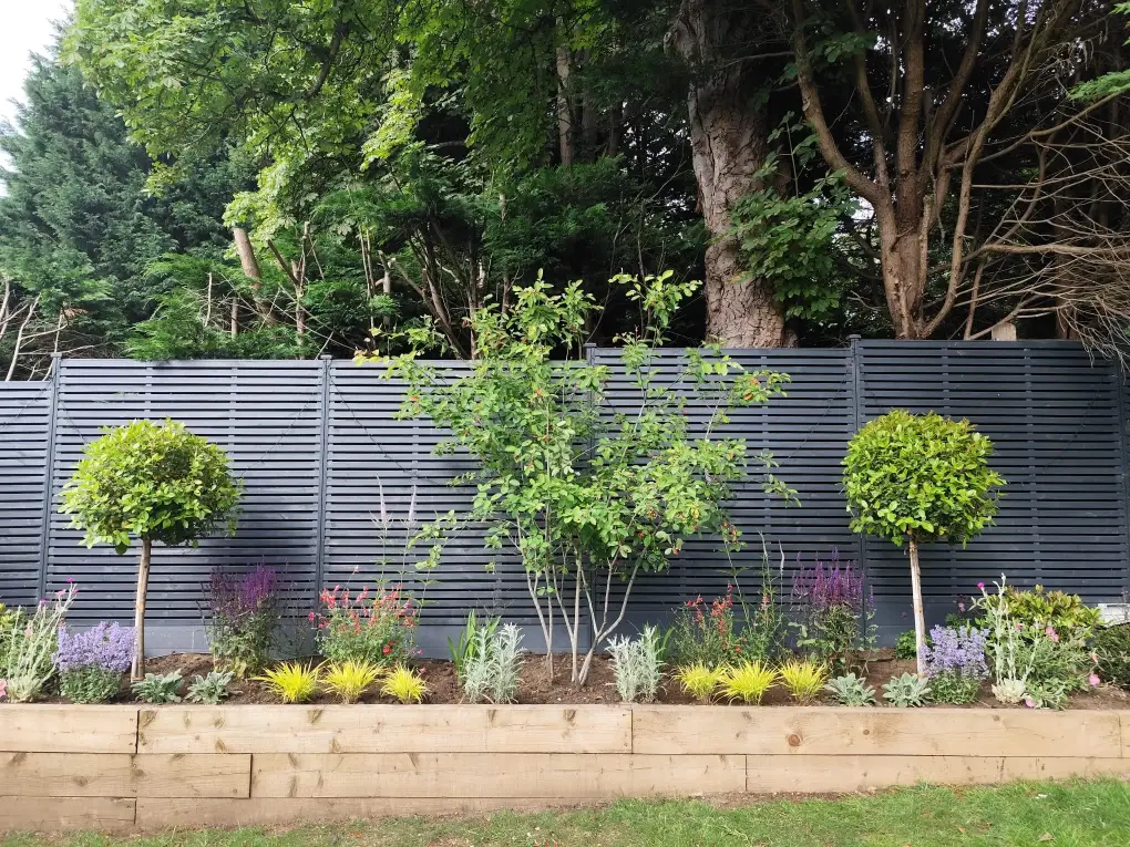 hero-recent-project-raised-bed-full-sun Full sun raised bed in Esher Surrey.