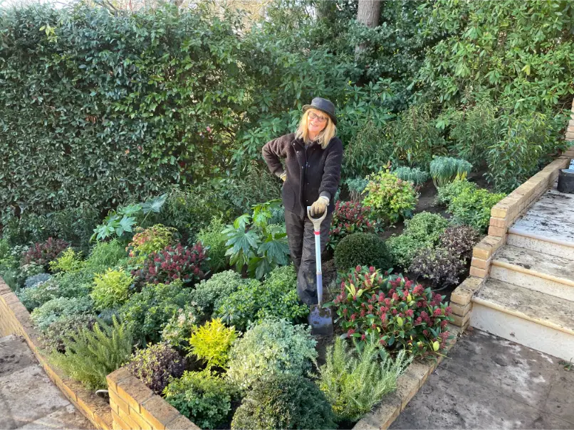 Mixed low-maintenance evergreen border with Michaela Day Garden Designer.