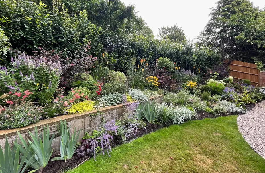 Mixed herbaceous border with jewel colour scheme.
